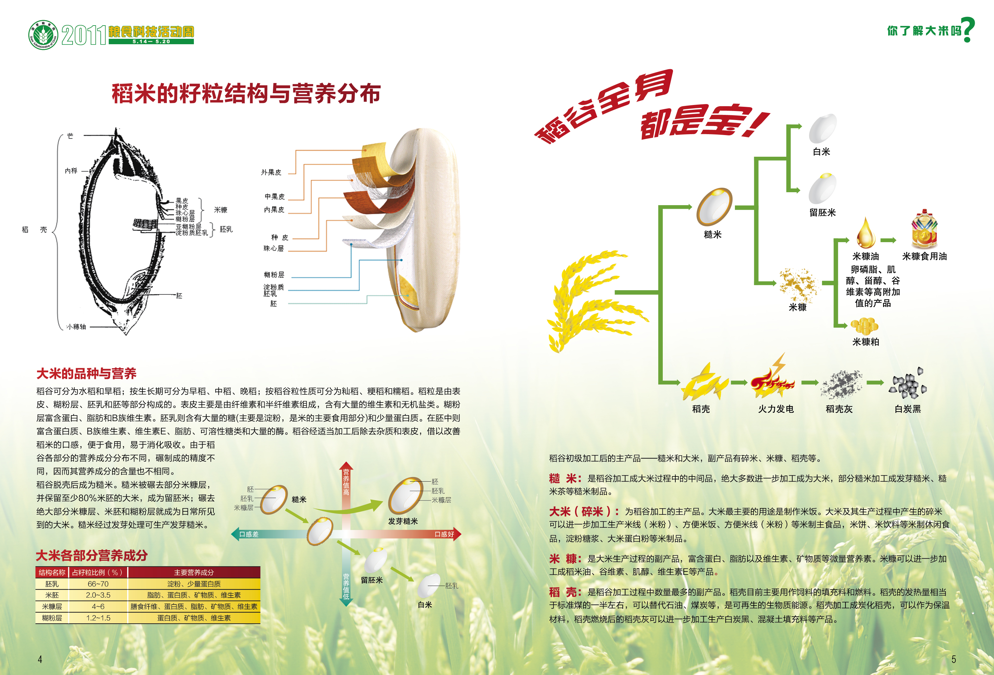 大米营养与健康-4.jpg