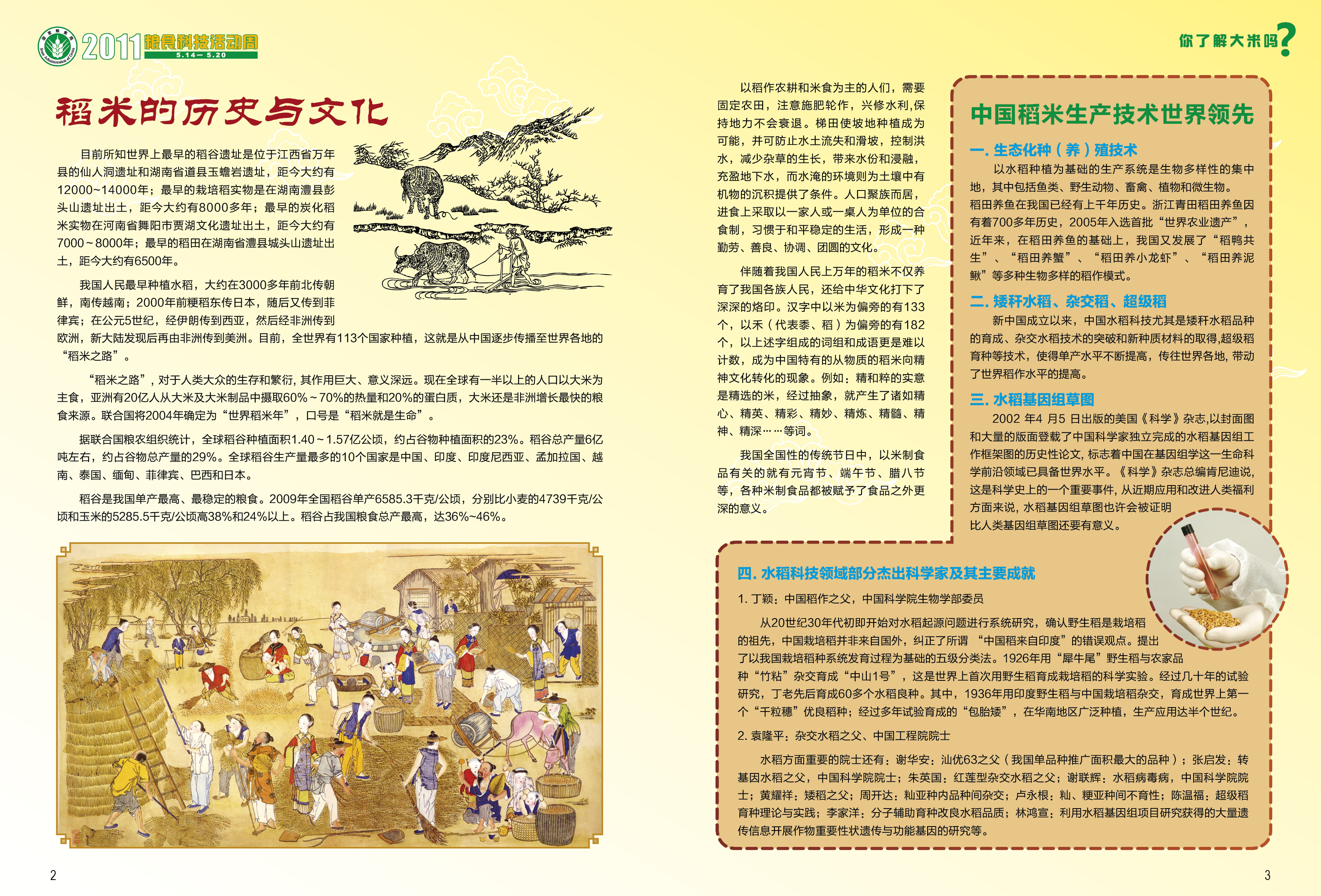 大米营养与健康-3.jpg