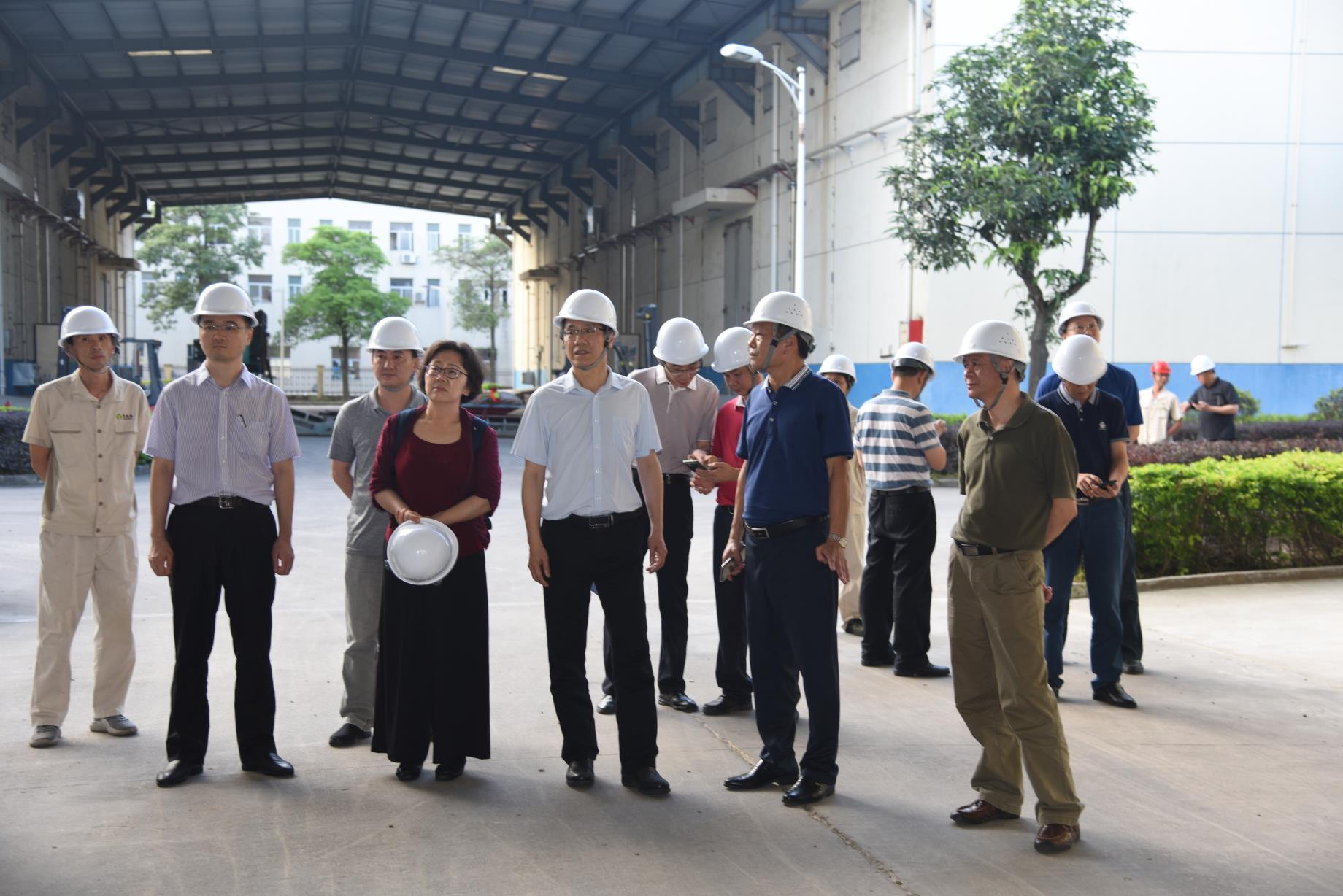 省政协委员督导巡视政策性粮食库存大清查普查工作_20190605101816.jpg